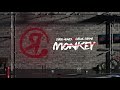 Dario Nunez Carlos Bayona Monkey Dario Nunez Carlos Bayona Monkey