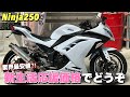 【ニンジャ250】を紹介しながら雑談します