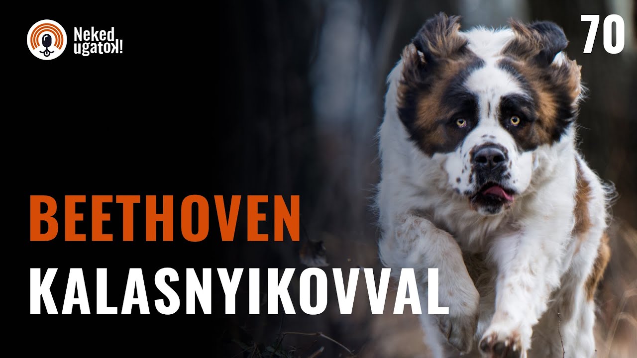 Erre számíts, ha MOSZKVAI ŐRKUTYA gazda leszel! | #70