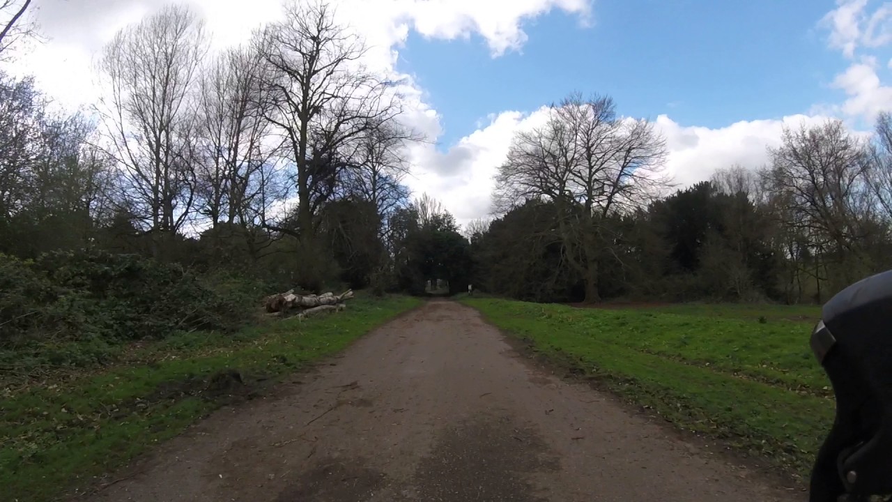 Path - YouTube