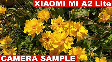 Xiaomi Mi A2 Lite Camera Sample