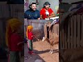 روينة والبلبالة Morocco Maroc روينة والبلبالة Morocco Maroc