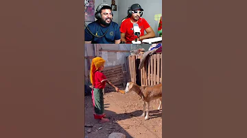 روينة والبلبالة Morocco Maroc 