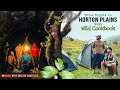 Horton plains sri lankas cloud forest national park       cc  4k