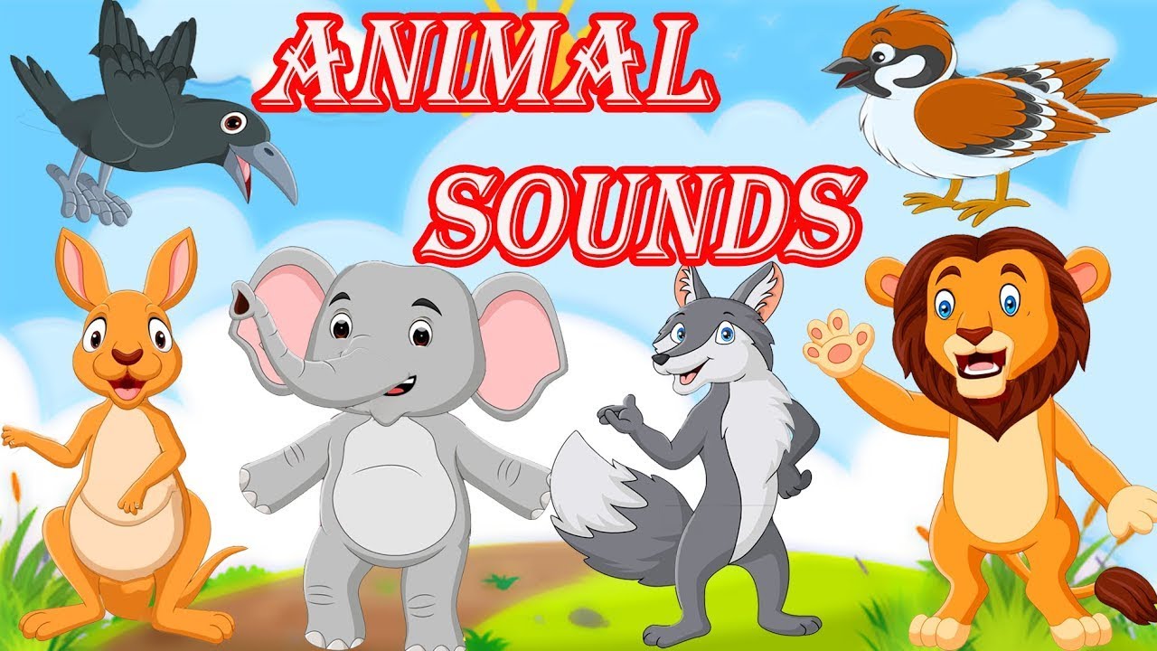 Animal sounds Kids & Nursery Rhymes Sing Along Song Animated 1 - YouTube