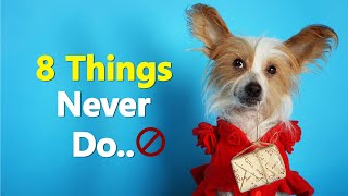 8 Things You Should Never ❌ Do With A Chinese Crested Dog❗