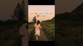 صور (كوارث بشرية 😂) تبدو كأنها لك 💔