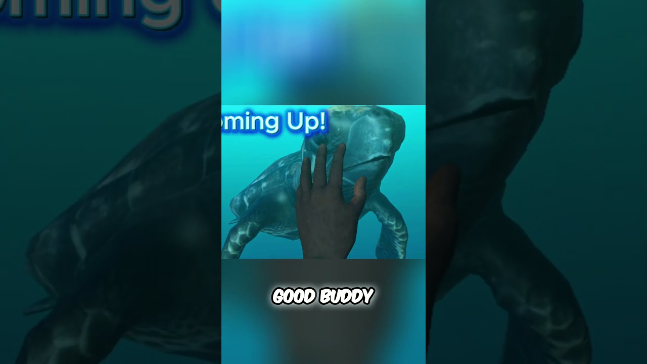 NOMAD HAS TURTLES NOW!!!