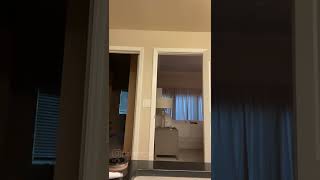 Malu trevejo twerking live on ig live 🍑🍑 #live  #twerk  #instagram  #tiktok #malutrevejo #malu #huge