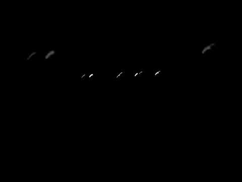 اغنية الاسير حسين الجسمي بالسيارة 