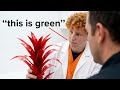 I Convinced Colorblind People Red Is Green