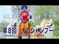 第８回犬のシャンプー（母さん、僕は今日も赤平の森にいます）