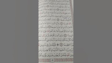 القرآن بصوت هادئ(سورة النساء)