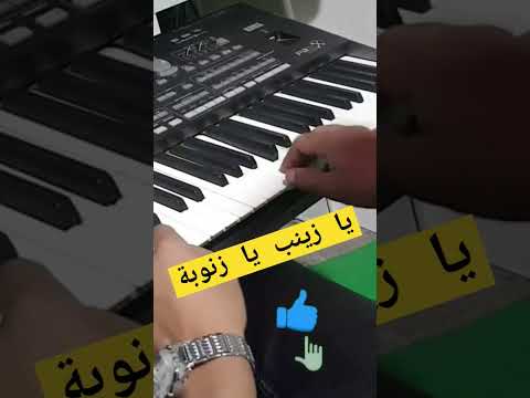 يا زينب يا زنوبة