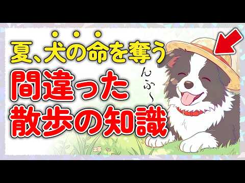 8 Dangerous Dog Cooling Mistakes During Summer Walks (Dog Trivia