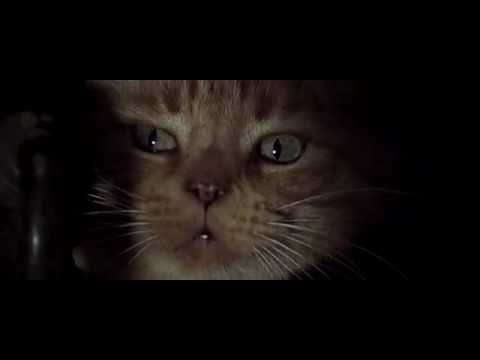 Alien (1979) scene with Jonesy, Ripley's cat