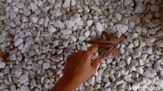 Awesomeplanning.dotrade.net Awesome Vitamin Relaxtick By Awesome Planning