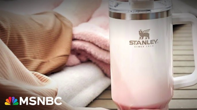 How Women Started The Stanley Quencher Bottle Craze