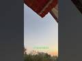 Watch till end for birds #captureloom