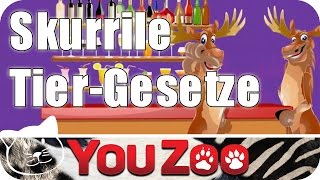 Skurrile Tier-Gesetze │YouZoo by YouZoo 3,400 views 9 years ago 7 minutes, 21 seconds