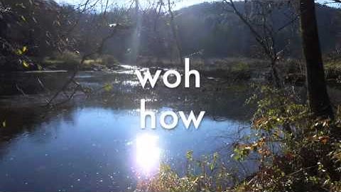 linguistics final project