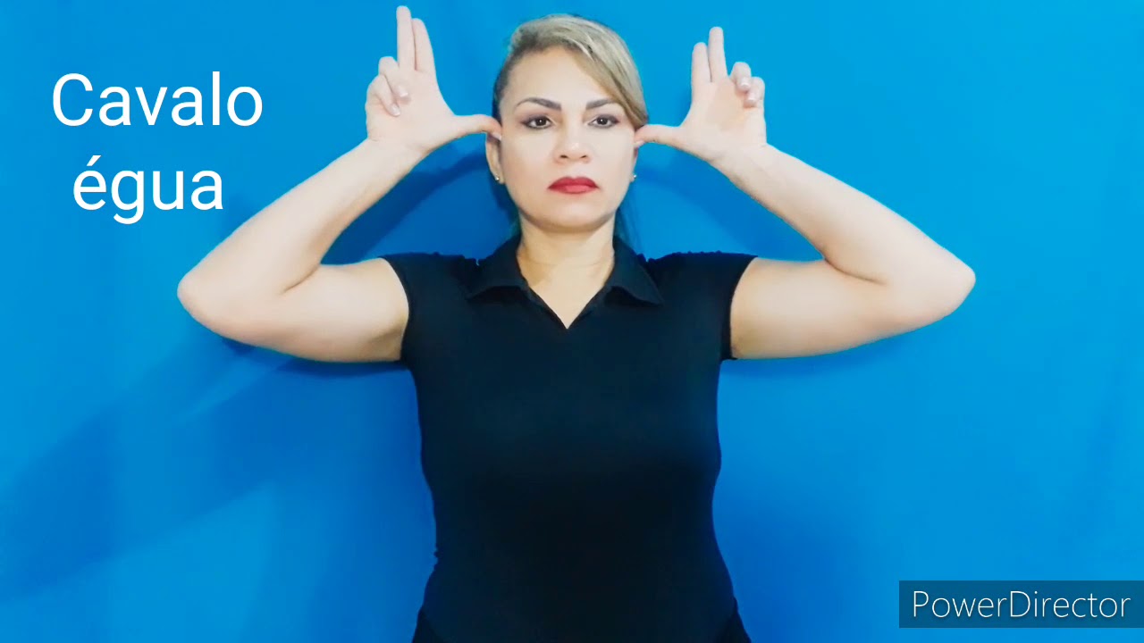 Cavalo ou égua em Libras YouTube