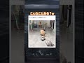 情報が多いてw #shorts#tiktok#Twitter#おもしろ#お笑い#おすすめ#猫 #面白い#おもしろ動画#爆笑#バズれ