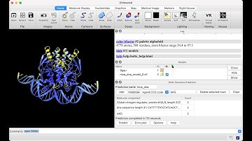 Boltz structure prediction in ChimeraX