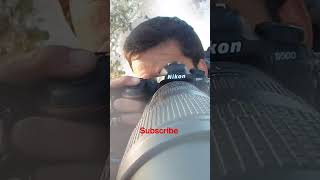 photography tips #youtubeshorts #wildlifephotography #naturephotography #photography #travel #fyp
