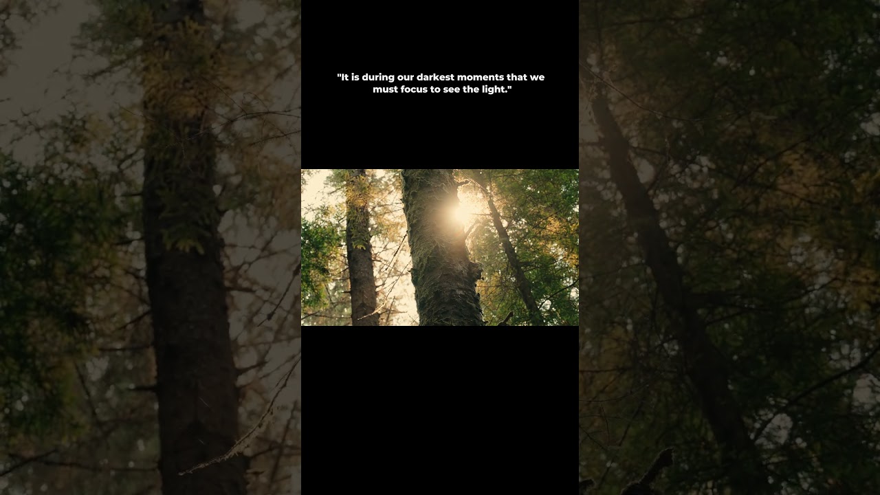 🌟 Find the Light in Darkness – Daily Motivation by Aristotle Onassis