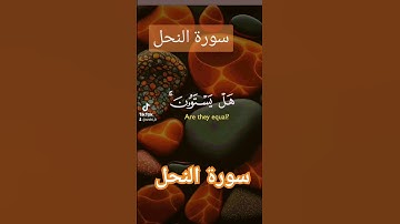 # سورة النحل #دعاء #حالات_واتس #تيك_توك #دعاءمستجاب #لايك #اسلام # قران#quoran