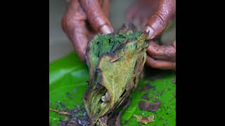 Small fish roasting smashed recipe  #viral #primitiveplus #cooking #fish #old #ytshorts