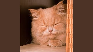 Purring Piano Cat Harmony