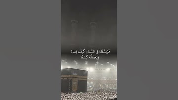 سورة الروم 48-49 #ياسر_الدوسري #الروم