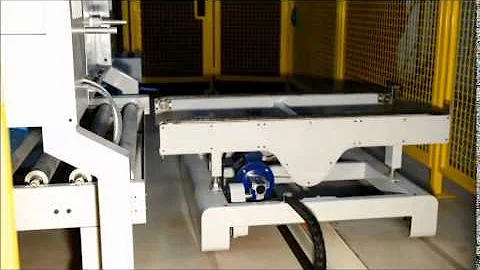 Robotic Box Palletizer 2014