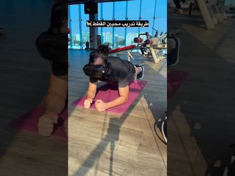 طريقة تدريب محبين القطط