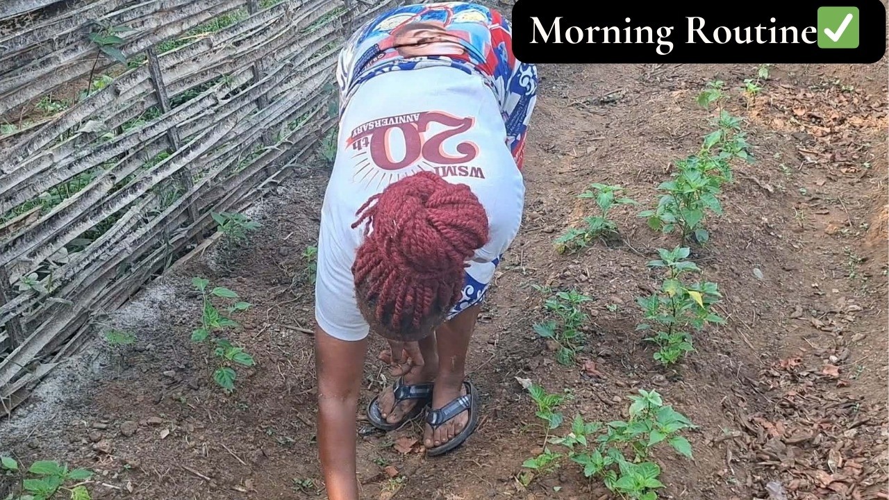 A Taste of Africa 🌍 Village Life, Kitchen Garden and Simple Breakfast | African Village # cooking