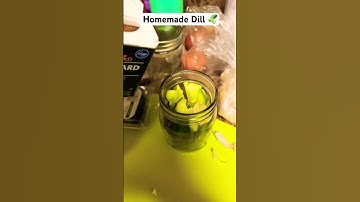 Homemade dill pickles #fyp #fy #shortvideo #shorts #how #cooking #pickle #garden #diy #food #growth