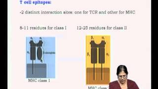 Mod-21 Lec-38 Antigens and Immunogens