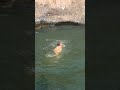 #vairalvideo #swimming #love