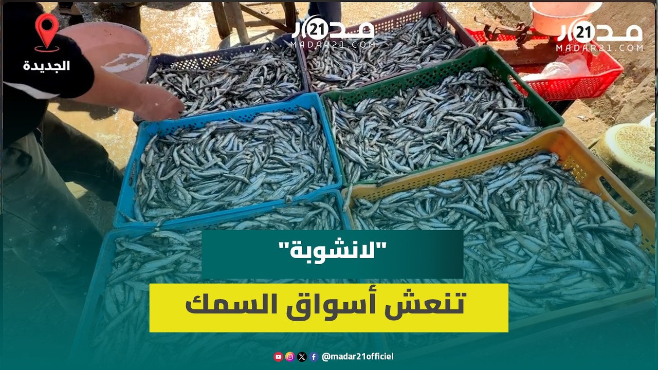 ارتفاع العرض وانخفاض الأسعار يرفع الإقبال على 