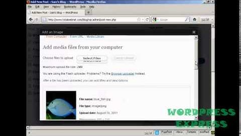 WordPress Tutorial 7: How to Insert and Format Images