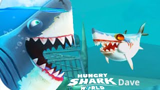 Hungry Shark World - New Baby Pet Shark Dave screenshot 5