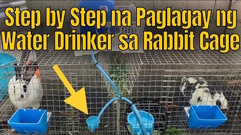 Automatic Rabbit Water System Tutorial | How to Install Rabbit Water Drinker