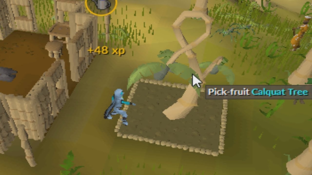 Inexpensive Level 3 Skiller Farming Run