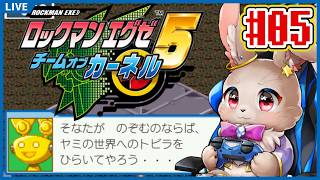 【ロックマンエグゼ5 チームオブカーネル】ここが新しいクリア後ダンジョンね！【#05】