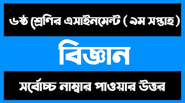 Class 6 Science Assignment 9th Week | ৬ষ্ঠ শ্রেণির বিজ্ঞান এসাইনমেন্ট | Class 6 Assignment Answer