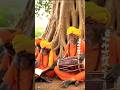 हनुमान चालीसा....#hanumanji#bajrangbali#hanumanchalisa #hanumanjayanti#bhakti #bhajan #youtubeshorts