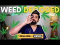 Smoking weed health effects  doctor explains 