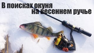 Микроджиг. В поисках окуня на весеннем ручье